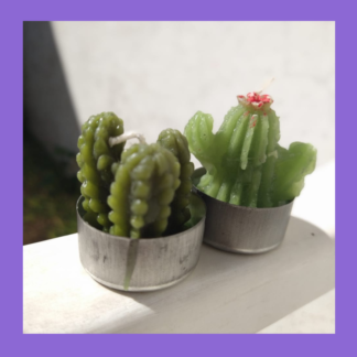 Mini velas cactus aromaticas