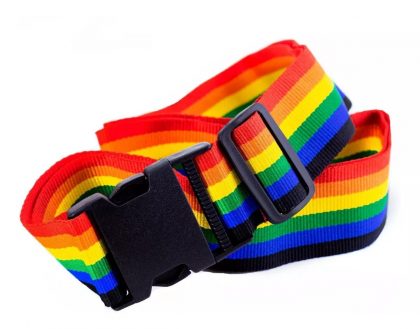 Sujetador Identificador de Valijas Multicolor