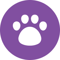 Mascotas